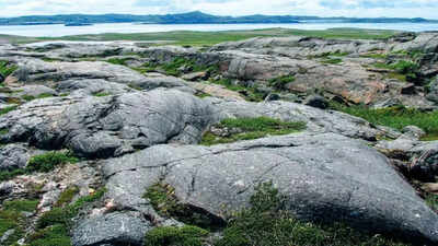 Scientists discover oldest rocks on Earth, over 4.16 billion years old |