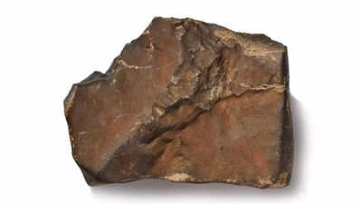 Largest Mars rock could sell for a staggering $4 million |