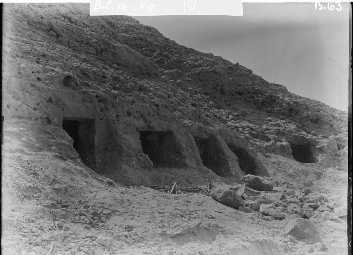 Researchers sequence whole genome of ancient Egyptian for the first time