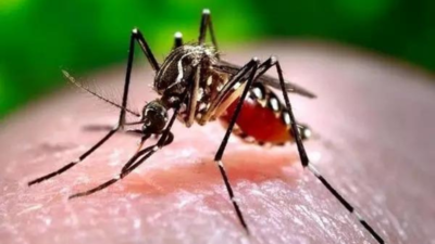 Maiden EU-India medical research project eyes better understanding of dengue infection