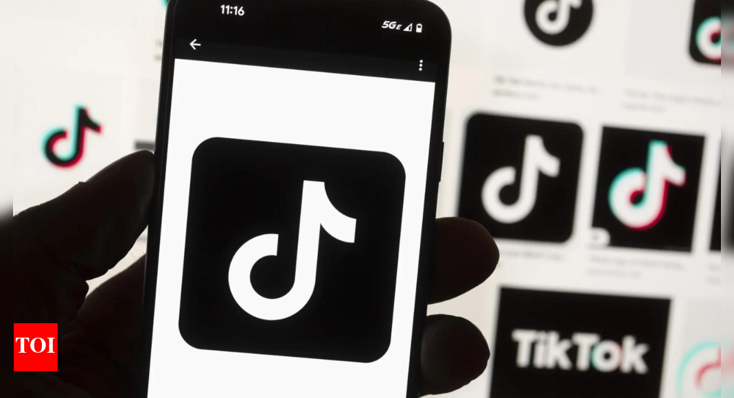 'False and deceptive': Government says hasn't issued any unblocking order for TikTok - what we know | India News