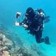 Great Barrier Reef records largest annual coral loss in 39 years