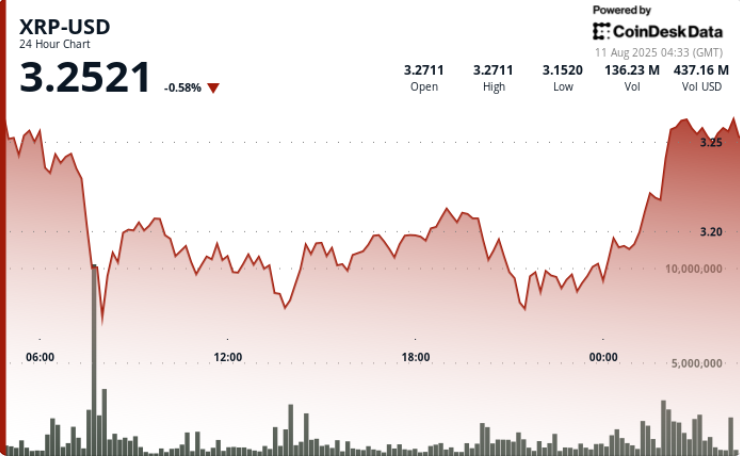 Rallies Above .25 After Ripple-SEC Settlement