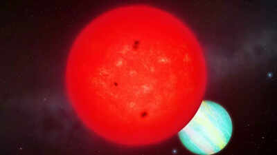 Giant planet found orbiting tiny star ‘should not exist’, astronomers say |