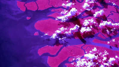 ‘It is the largest river delta on Earth’: NASA astronaut captures the stunning view of the Ganga river delta from space |