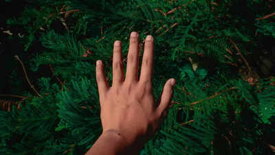 Why humans can't digest grass: Understanding the biological limitations |