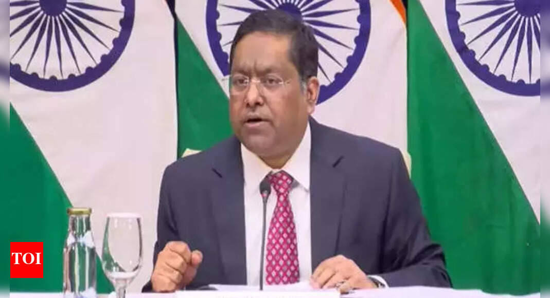 'India supports early end of battle': MEA backs fresh peace push on Ukraine, urges constructive dialogue | India News