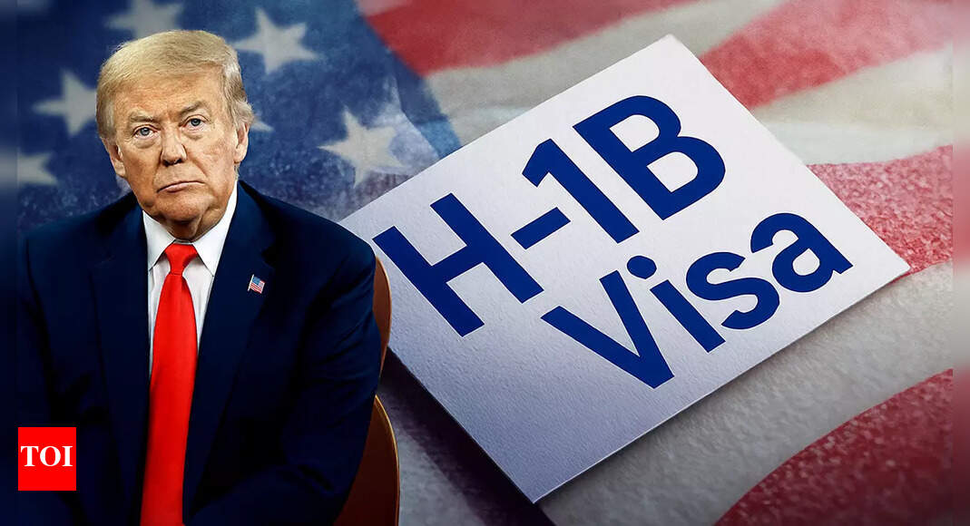 New H-1B visa allocation system: After fee hike, will new weighted selection move spell bad news for Indian IT? Explained
