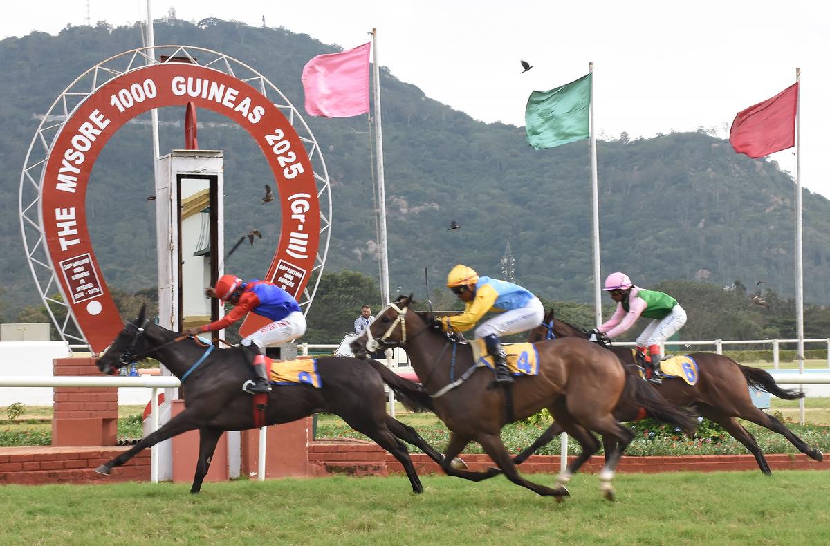 Ravishing Beauty claims the Mysore 1000 Guineas