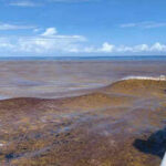 The bizarre 8,850 km phenomenon in the Atlantic that keeps expanding |