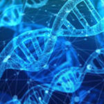 “Google for DNA”: Scientists create the world’s first and fastest genetic search engine |