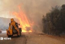 Two firefighters die in Crete as wildfires threaten parts of southern Europe