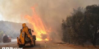 Two firefighters die in Crete as wildfires threaten parts of southern Europe