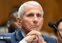 Anthony Fauci refuses to answer questions during US Senate hearing about Covid origins