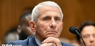 Anthony Fauci refuses to answer questions during US Senate hearing about Covid origins