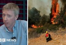 Wildfires: What you need to know for travel to France or Spain