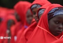 Nigeria’s mass wedding – and how to tell lovers from fraudsters in Kano