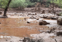 Grand Canyon flash flooding sparks search for missing hikers