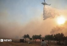 Two helicopters fighting Greece wildfires collide