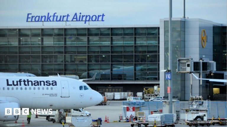 Two German airport workers die of malaria after ‘mosquito arrives on plane’