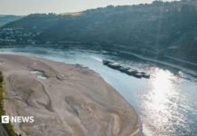 Rhine falls to record low levels as drought strains Europe’s rivers