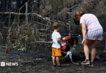 France wildfires reveal hundreds of WW2 shells in village