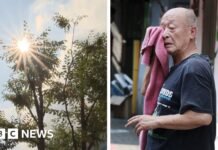 Heatwave: South Korea records its hottest day since records began