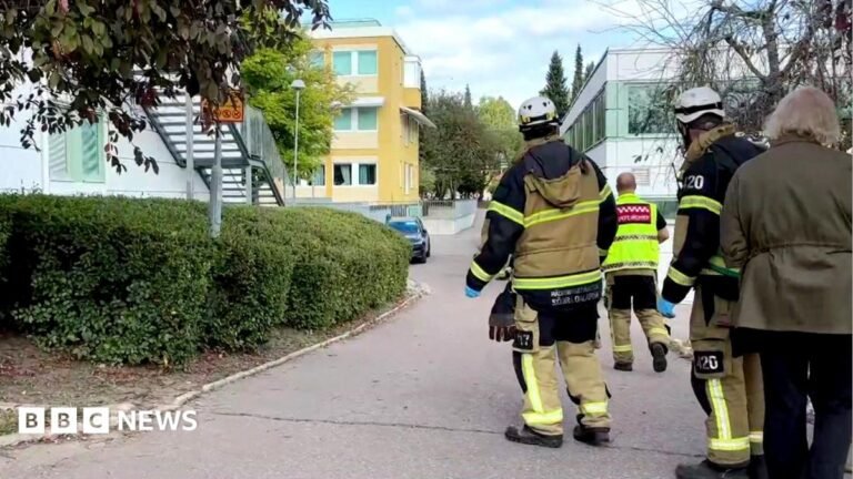 Several injured after sword attack at Swedish school