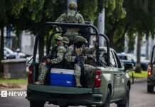 Mexican influencer shot dead during livestream
