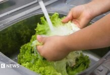 Michigan reports first two deaths linked to cyclospora outbreak