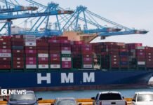 US states sue to block Trump tariffs impacting dozens of countries