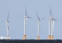 US strikes $1.2bn deal to pay German firm to halt offshore wind projects