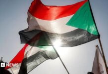 Sudan civil war: Army drone strike on Darfur court session kills 35, rights group says