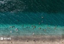 World’s oceans hit record-high July temperatures