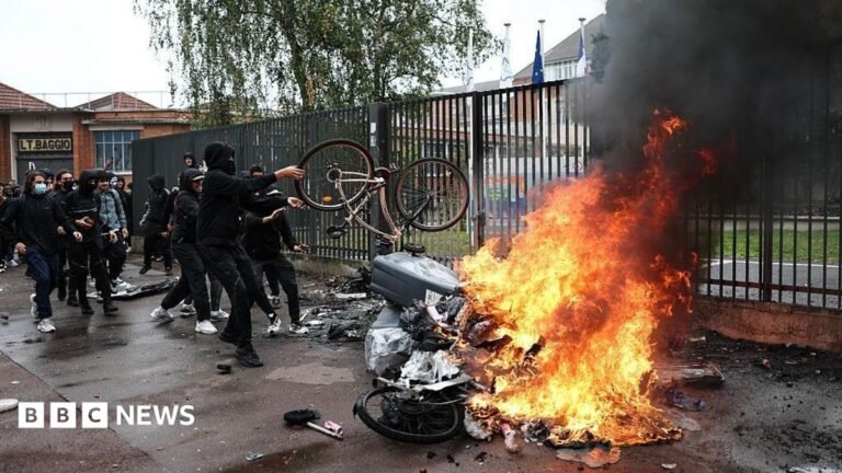 Dozens hurt and hundreds arrested in wave of French school protests